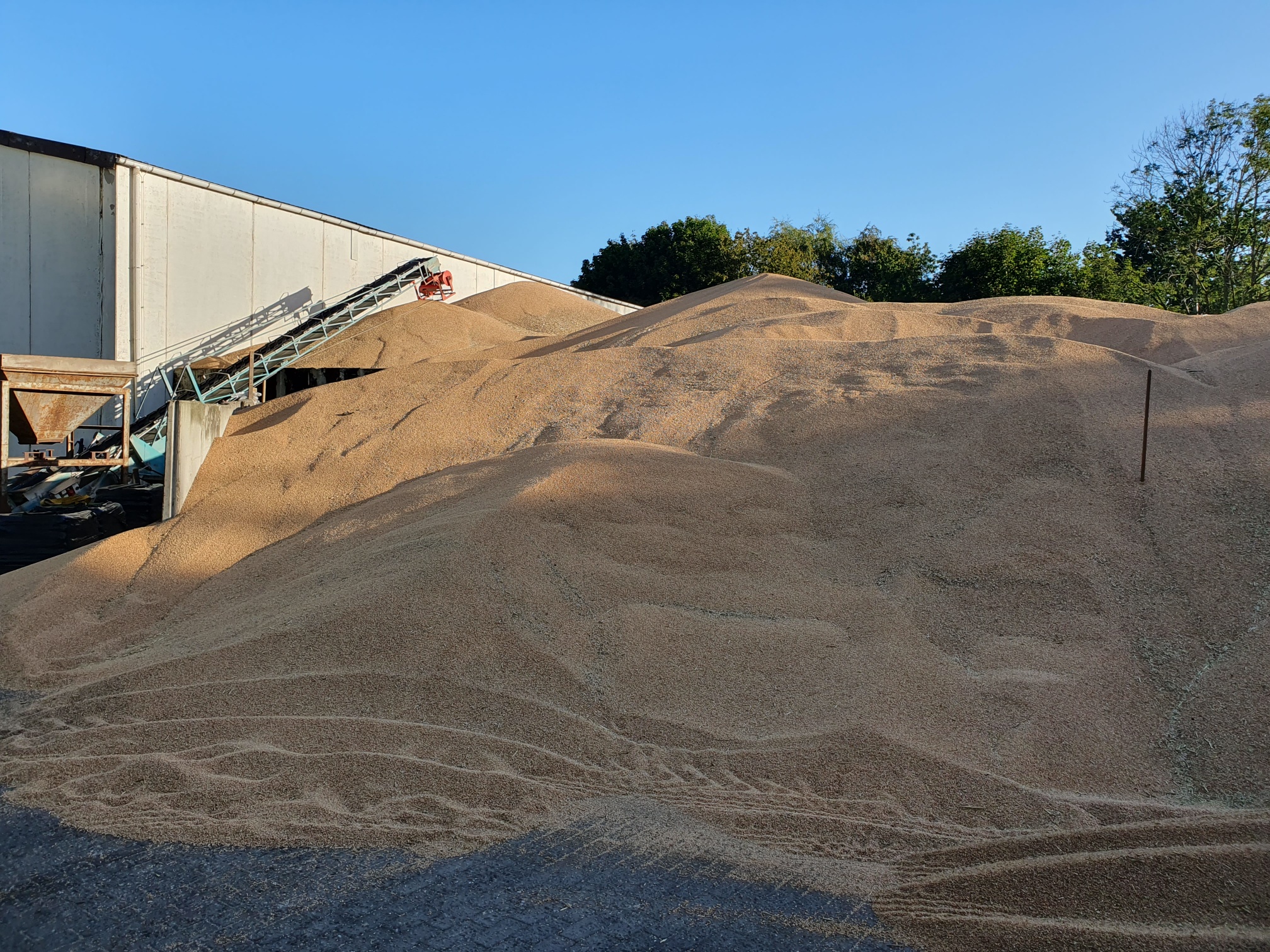 newsimages/151-Ernte 2025 Berg Marienhafe7.jpg